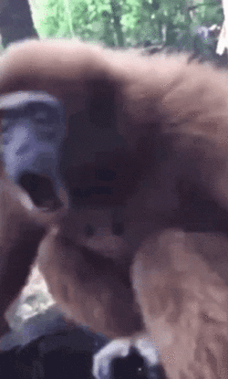 f2a5b1600354030d89246f415f7d87d0.gif