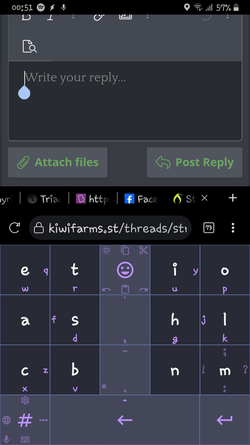 Screenshot_20250518-005110_Kiwi Browser.webp