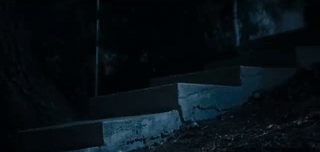 bs54CN - Copy.gif