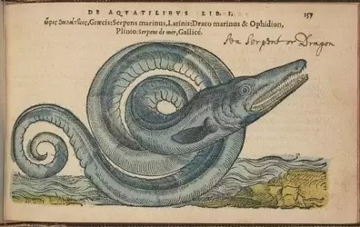 1747557708866.webp