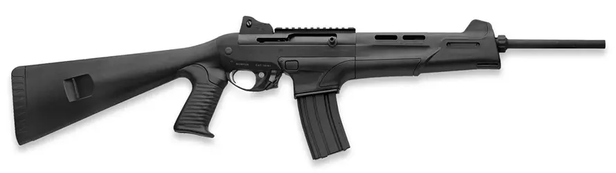 beretta556carbine.webp
