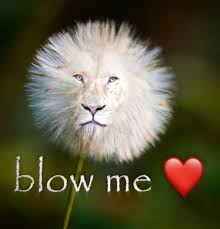 1744766078746k.webp