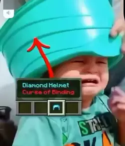 1747602632994.webp