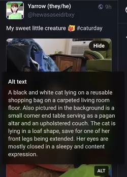 Screenshot_20250518-130657-cleaned.webp