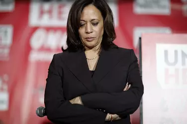 191115-kamala-harris-ap-773.webp