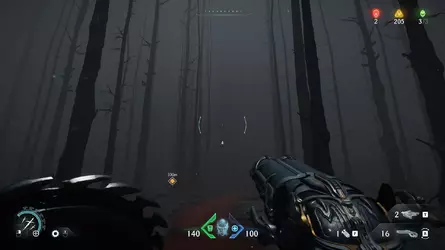 The forest.