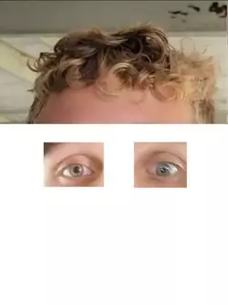1747624871118.webp