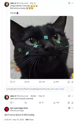 1747627123874.webp