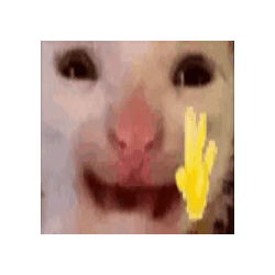 hi 4.gif