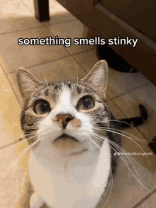 stinky.gif