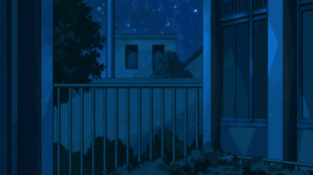 IMG_8655.gif