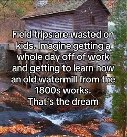 1747708139100.webp