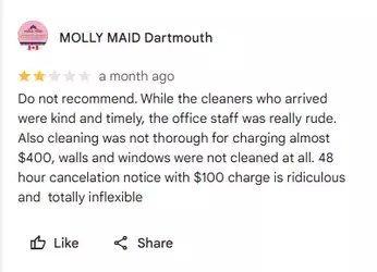 Molly Maid.webp