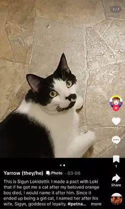 Screenshot_20250520_190636_com.zhiliaoapp.musically_edit_448738553166423.webp