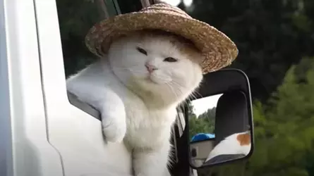 1607539618484.webp