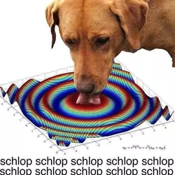 1747811843752.webp
