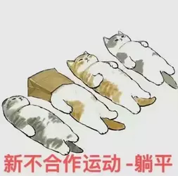 7c719a3cc0df78d5e7fb9a0c6982b6b4.webp