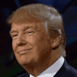 1747836136398.gif