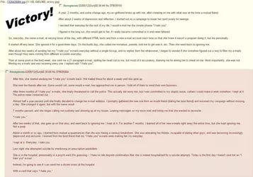 1747376832513287m.webp