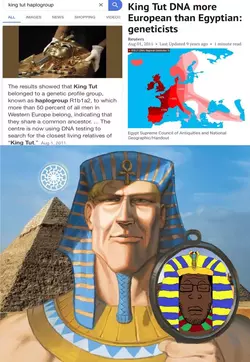 1747372885326044.webp