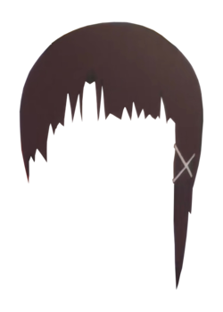 hair framed2.webp