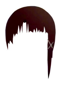 hair framed3.webp