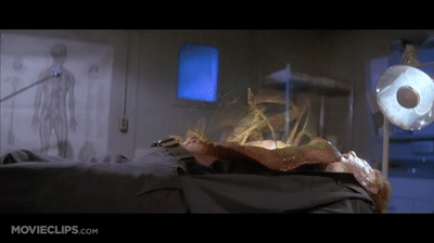 IMG_3862.gif