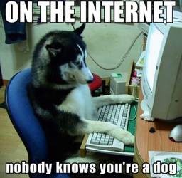 1747844713485014.webp