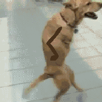 1747765981934522.gif