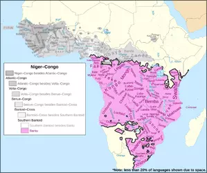 Map_of_the_Bantu_languages.svg.webp