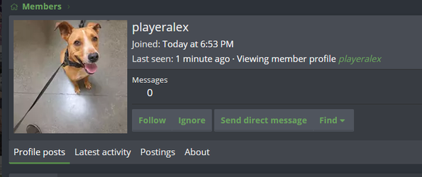 Screenshot 2025-05-21 202851.webp