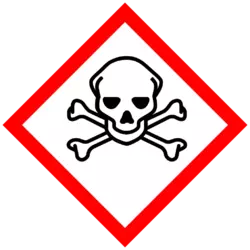 1747884896215.webp