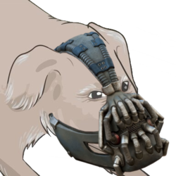 Null Bane Mask.webp