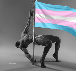 giga_trans_flag.webp