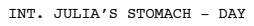 sp_6.webp