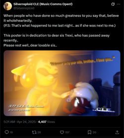 12 silver sister passed away.webp