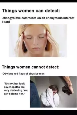 feminists-blame-incels-but-worship-the-real-oppressors-v0-acdje86uub2f1.webp