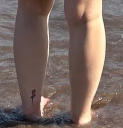 Legs.webp