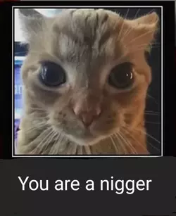 Screenshot_20240124_002503_YouTube.webp