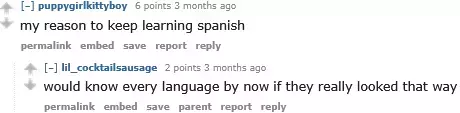 1748066987377.webp