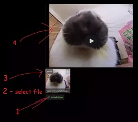 1748093099079.webp