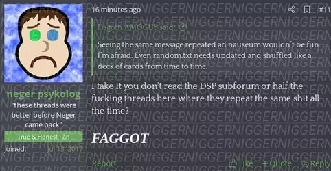 Screenshot 2025-05-24 at 18-07-22 Enable forum signatures again Kiwi Farms..NIGGER.webp