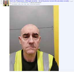 Screenshot 2025-05-24 at 22-00-11 Here's me. Polyamorous. (Although not active - not at the p...webp