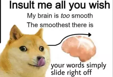 1748117549028.webp