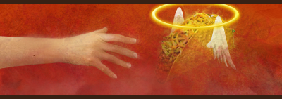 tacof.webp
