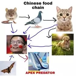 apex predator.webp