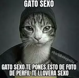 1748160412480.webp