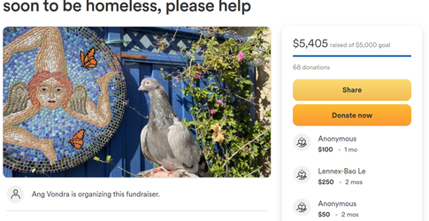 5k raised.webp