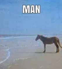 man.webp