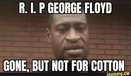 cottn floyd.webp